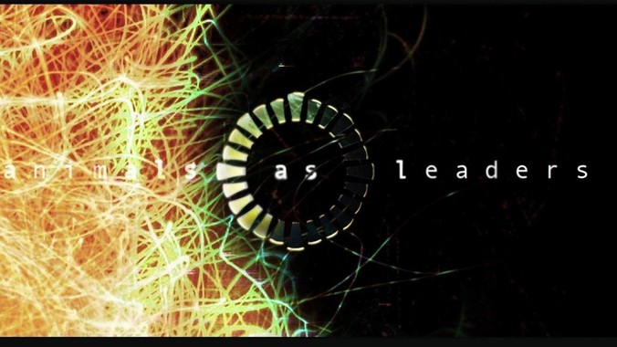 如何评价林志玲？