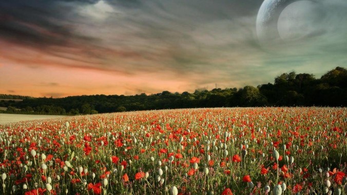 听说百度文心一言已经停止训练了,真的***的?百度这是准备放弃ai了吗?